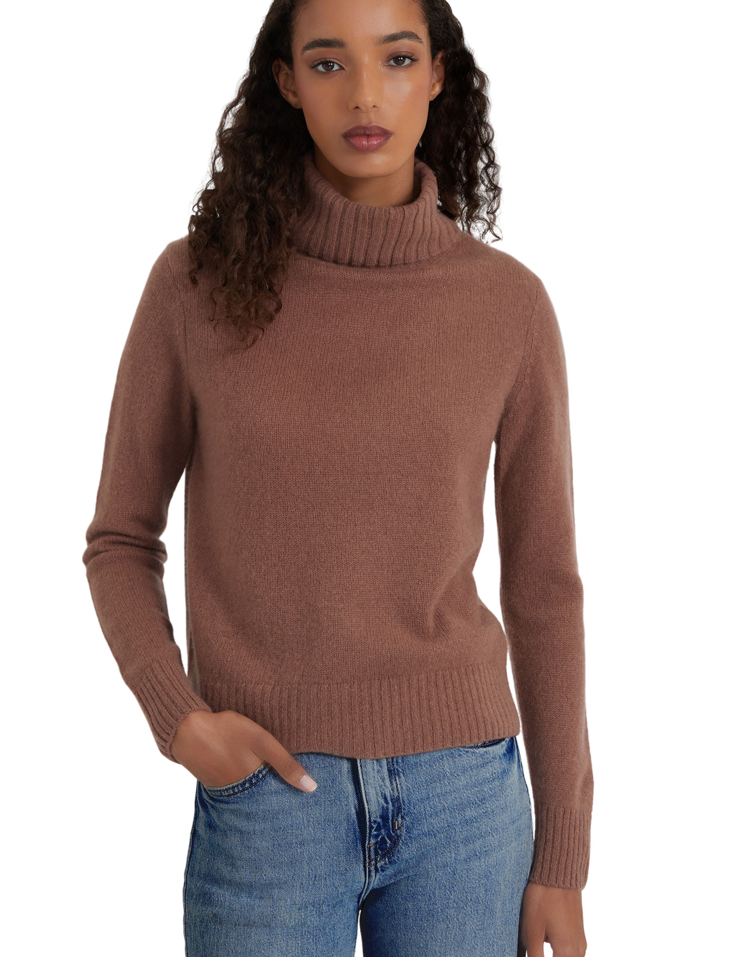 Style Republic 100% Pure Cashmere Regular Fit Turtleneck Women's Sweater